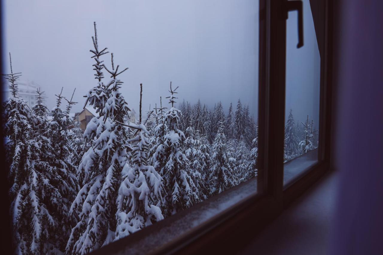 Altitude Guest House Rânca Kültér fotó