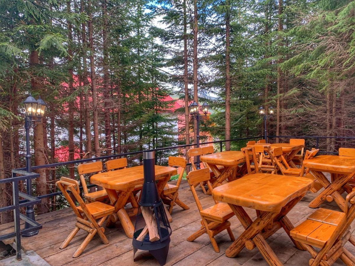Altitude Guest House Rânca Kültér fotó