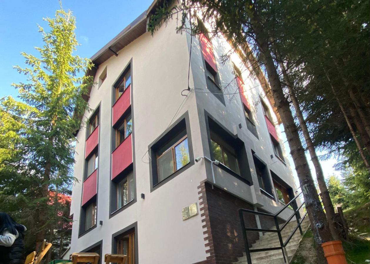 Altitude Guest House Rânca Kültér fotó